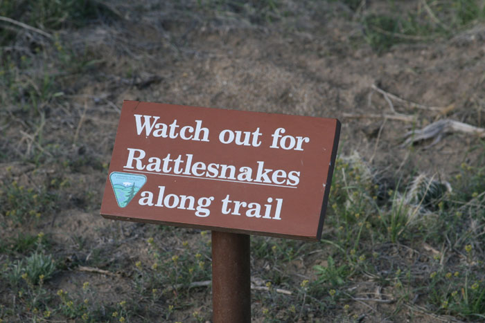 snake sign