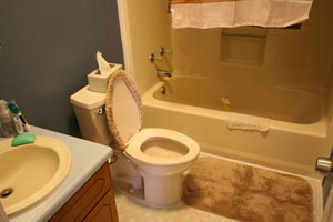 Guest Bathroom
