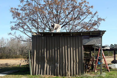 Old Building